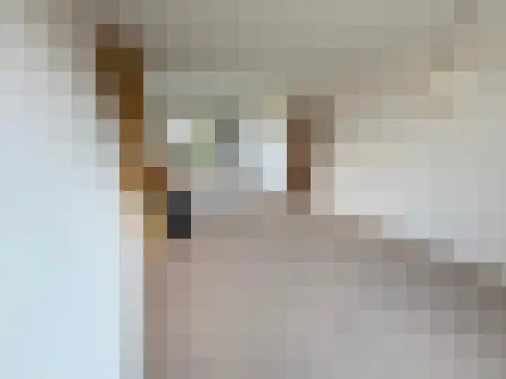 Professor Brummelkampstraat 12 Wapenveld thumbnail 4