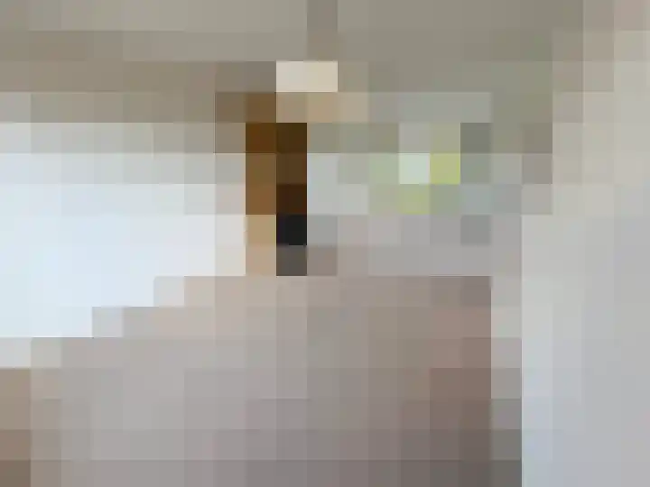Professor Brummelkampstraat 12 Wapenveld thumbnail 5