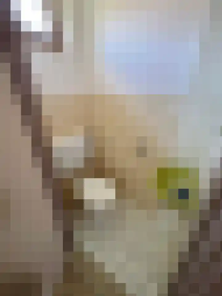 Professor Brummelkampstraat 12 Wapenveld thumbnail 7