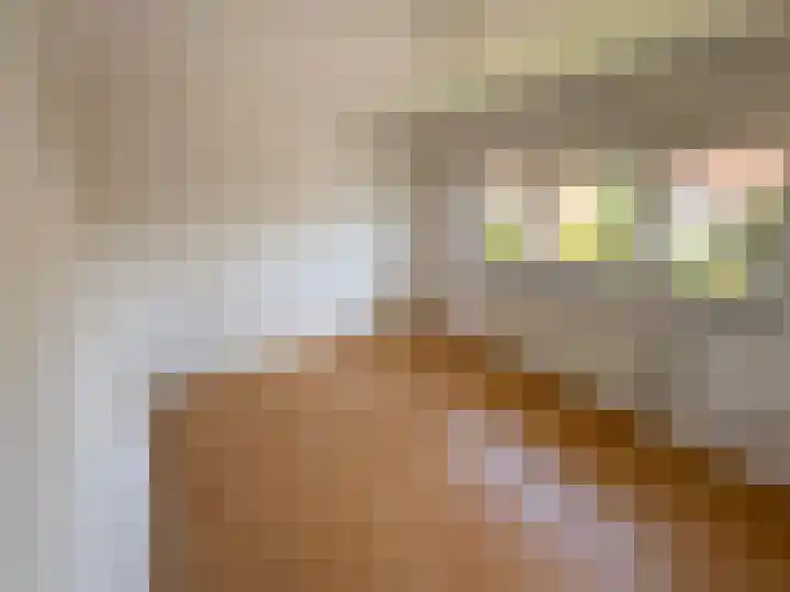 Professor Brummelkampstraat 12 Wapenveld thumbnail 8