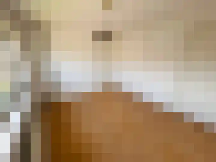 Professor Brummelkampstraat 12 Wapenveld thumbnail 9