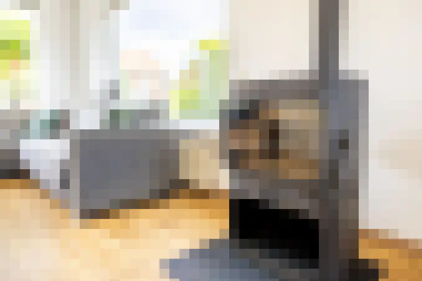 Professor Brummelkampstraat 5 Wapenveld thumbnail 11