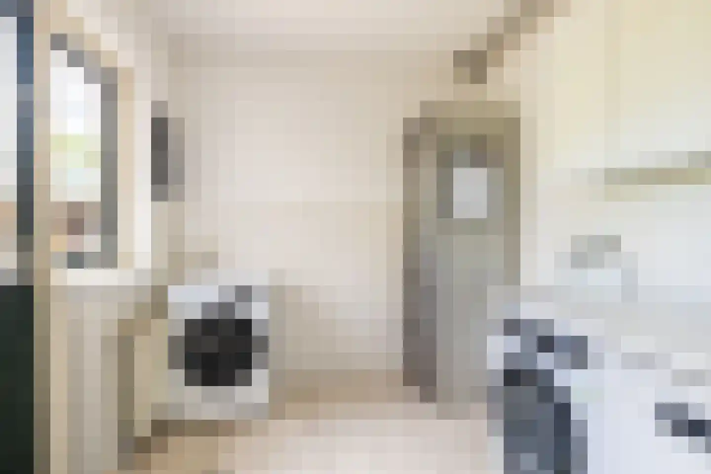 Professor Brummelkampstraat 5 Wapenveld thumbnail 14
