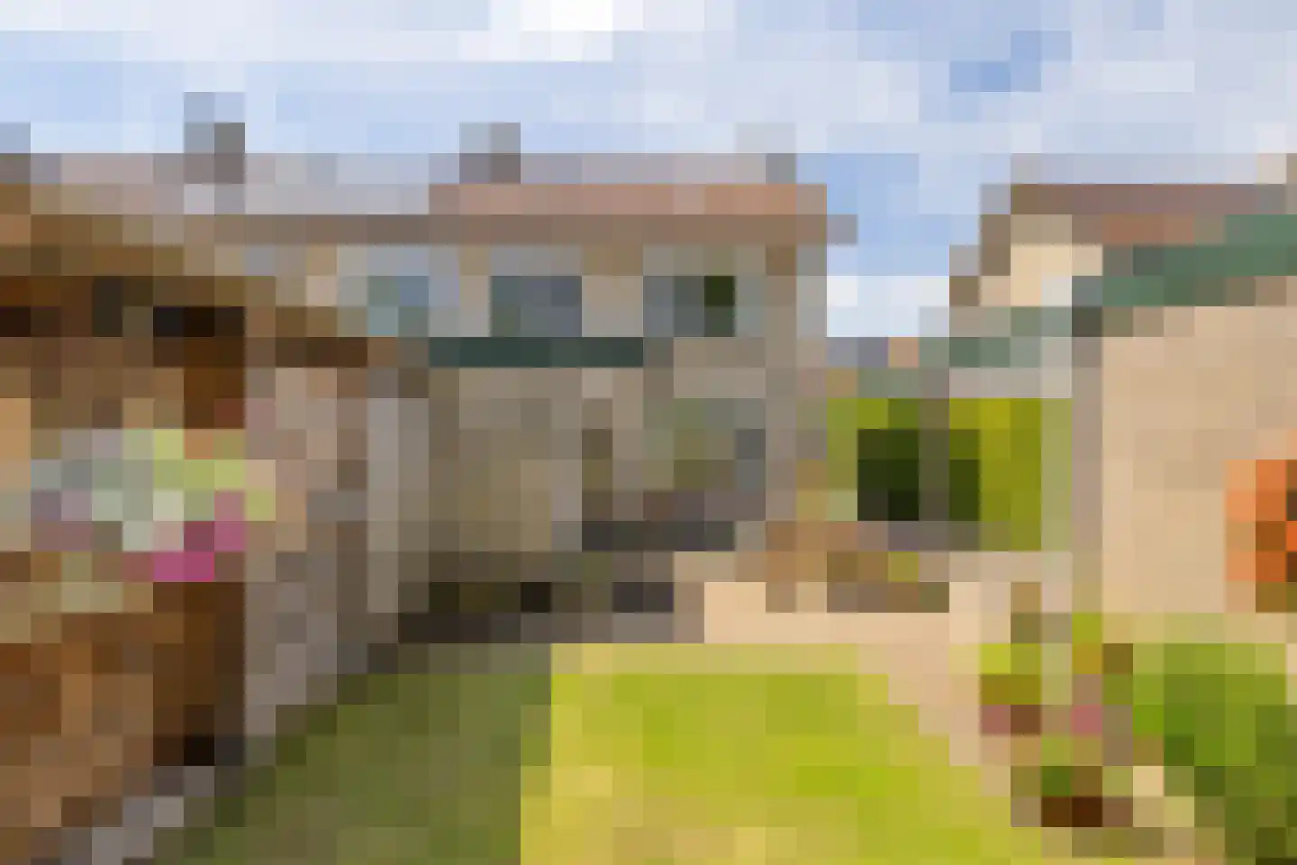 Professor Brummelkampstraat 5 Wapenveld thumbnail 18