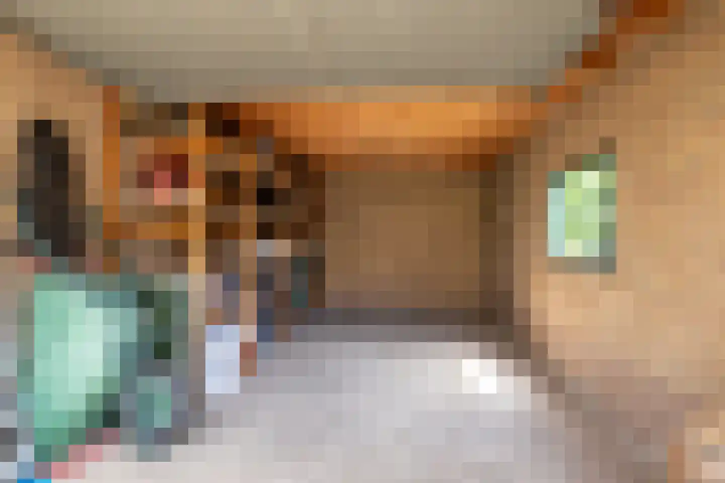 Professor Brummelkampstraat 5 Wapenveld thumbnail 21