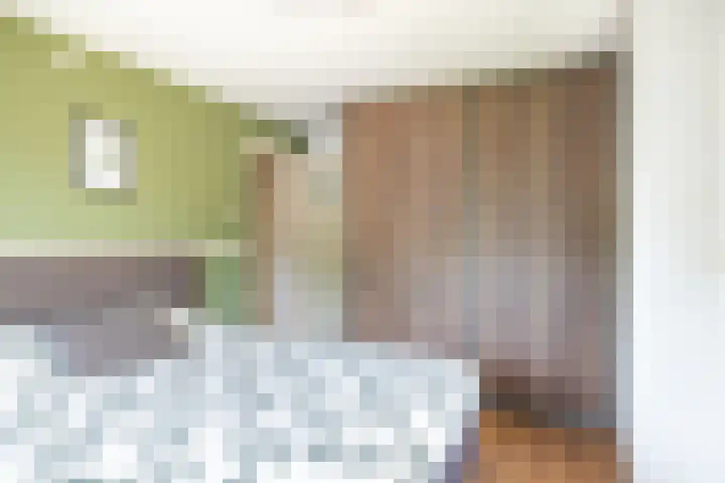 Professor Brummelkampstraat 5 Wapenveld thumbnail 24