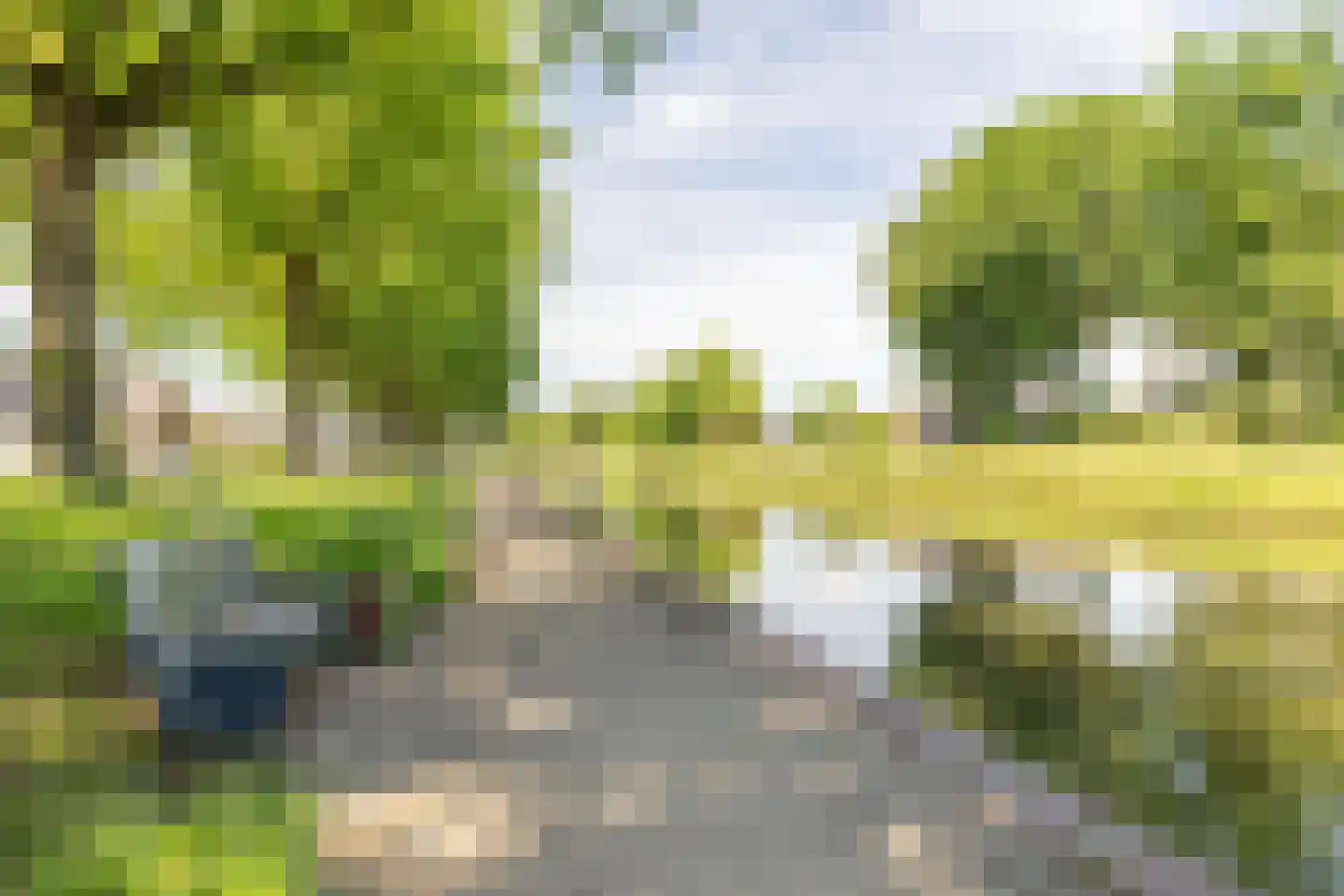 Professor Brummelkampstraat 5 Wapenveld thumbnail 30