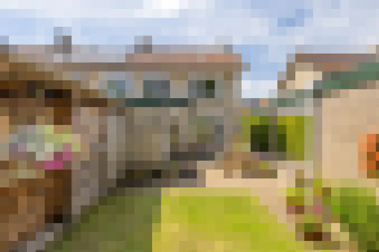 Professor Brummelkampstraat 5 Wapenveld thumbnail 5