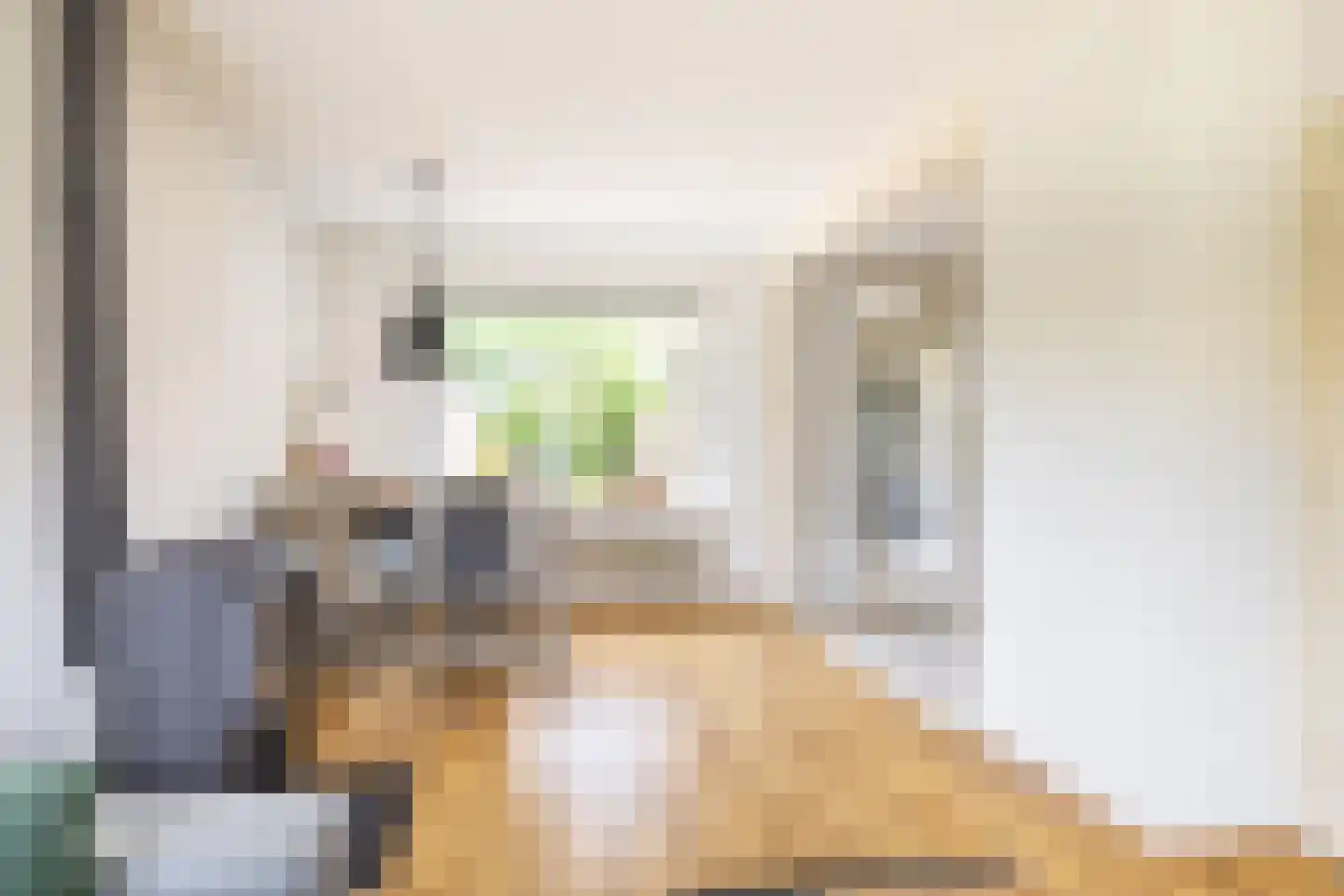 Professor Brummelkampstraat 5 Wapenveld thumbnail 7