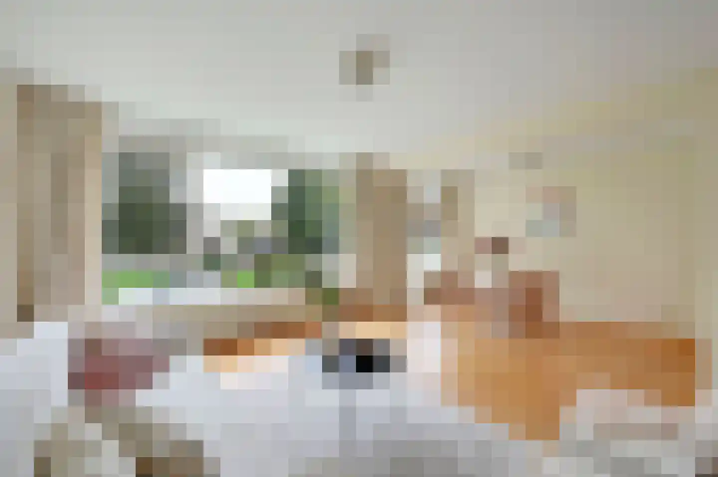 Professor Casimirstraat 14 Voorburg thumbnail 13