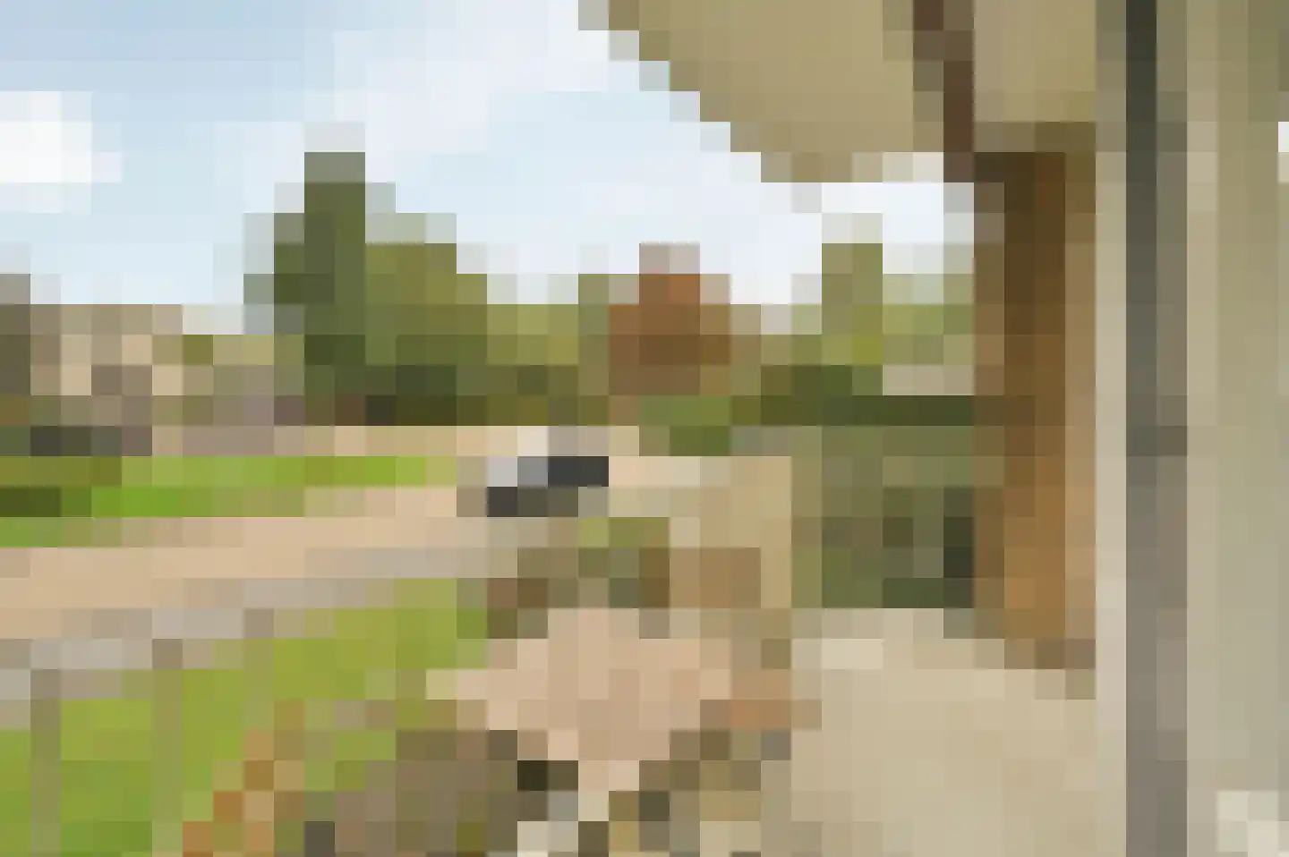 Professor Casimirstraat 14 Voorburg thumbnail 18