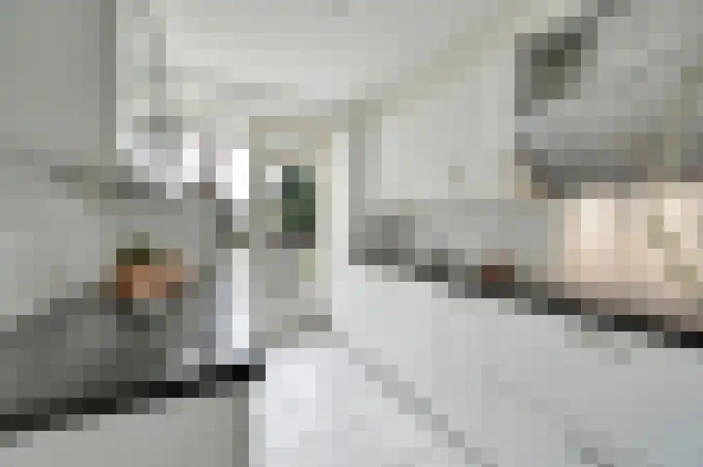 Professor Casimirstraat 14 Voorburg thumbnail 20