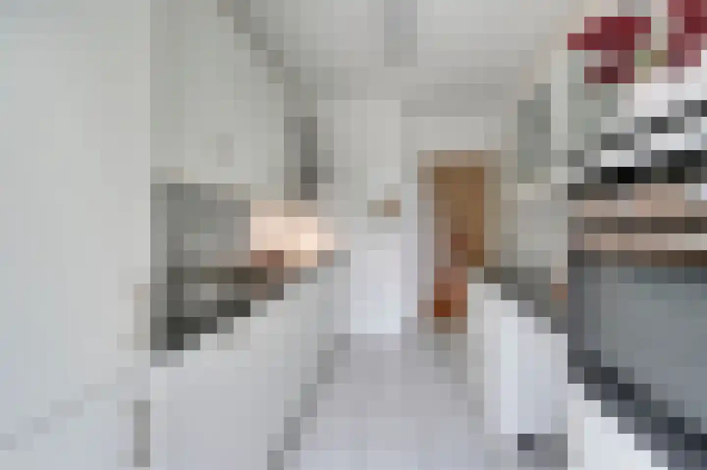 Professor Casimirstraat 14 Voorburg thumbnail 21