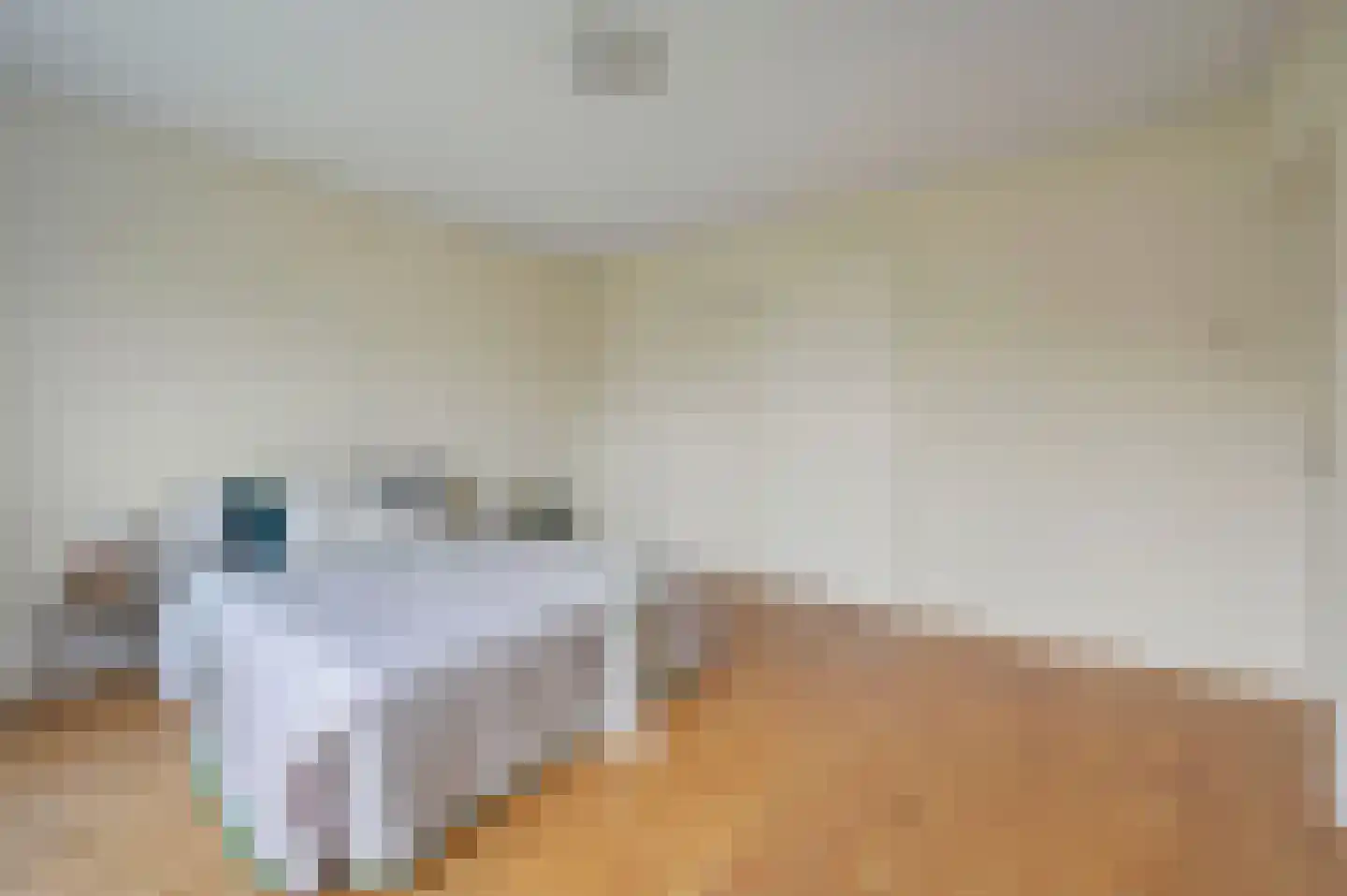 Professor Casimirstraat 14 Voorburg thumbnail 23