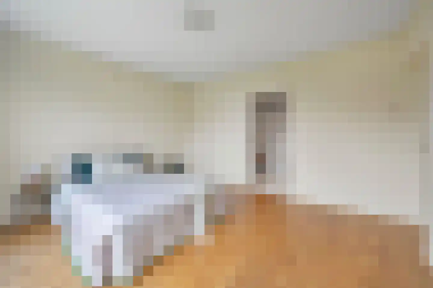 Professor Casimirstraat 14 Voorburg thumbnail 24