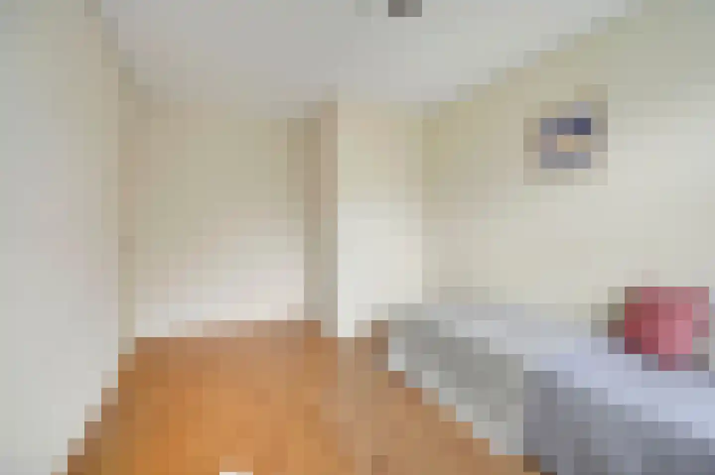 Professor Casimirstraat 14 Voorburg thumbnail 30