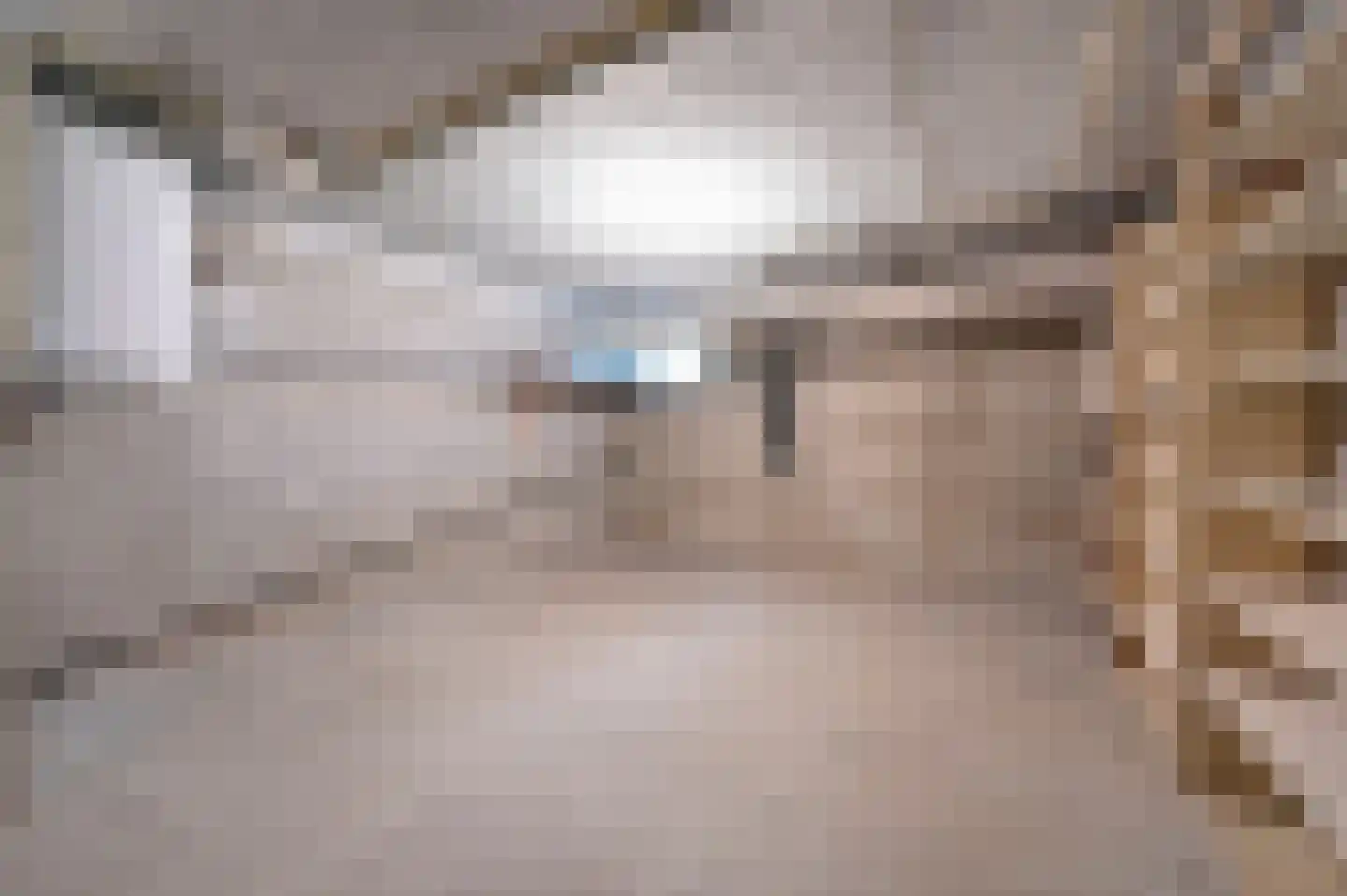 Professor Casimirstraat 14 Voorburg thumbnail 33