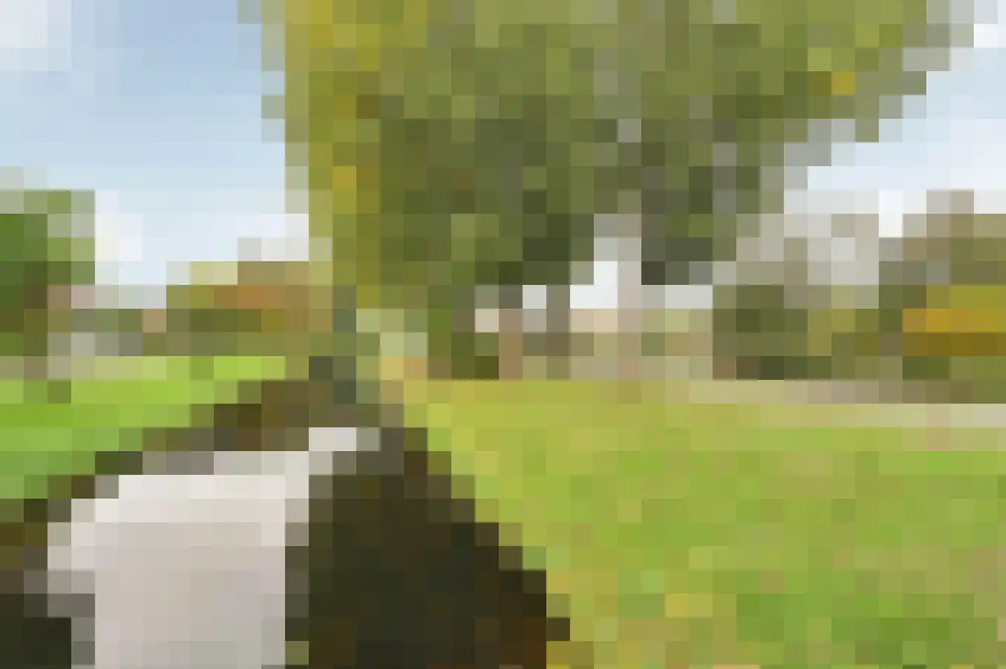 Professor Casimirstraat 14 Voorburg thumbnail 37