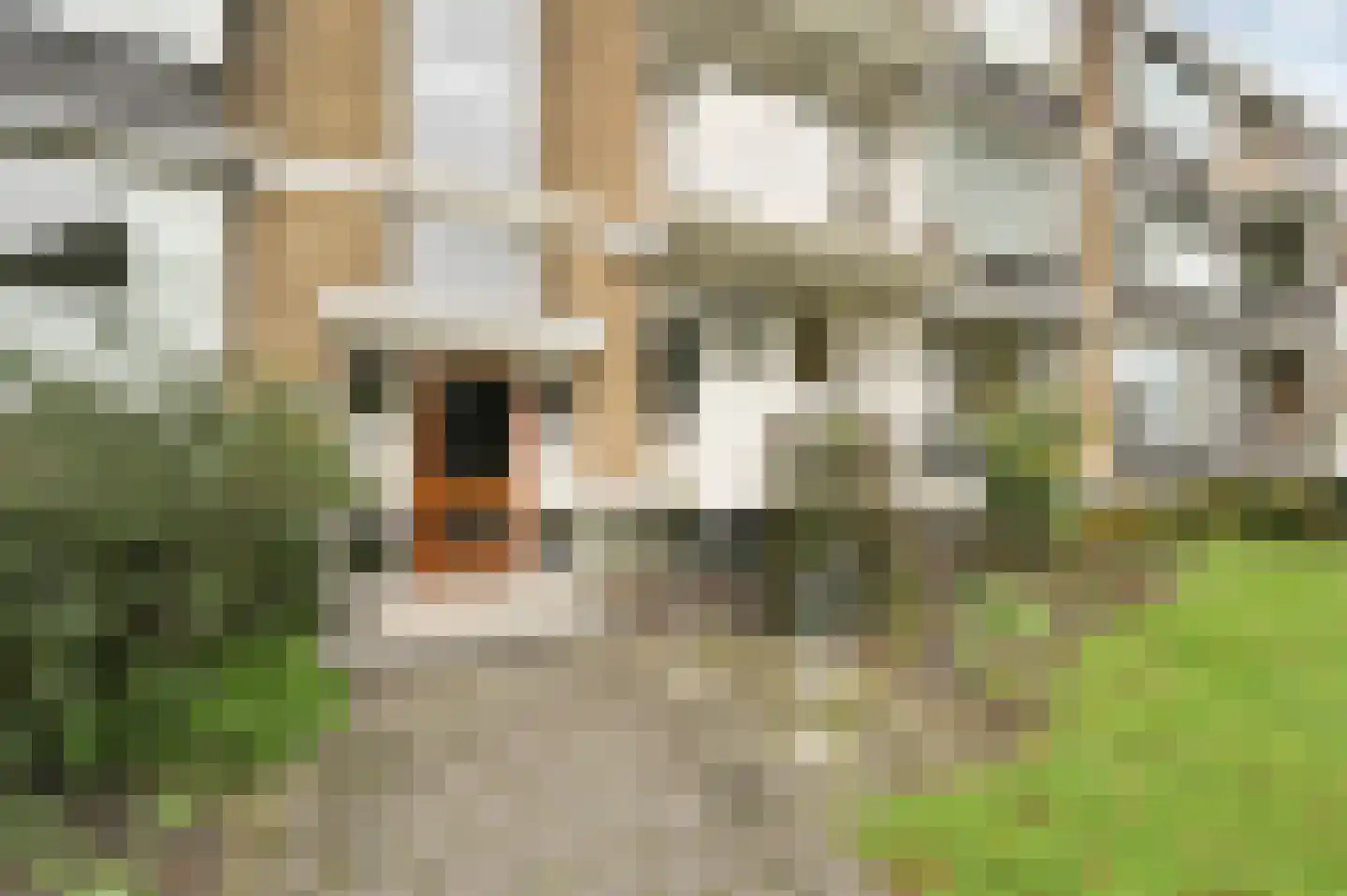 Professor Casimirstraat 14 Voorburg thumbnail 7