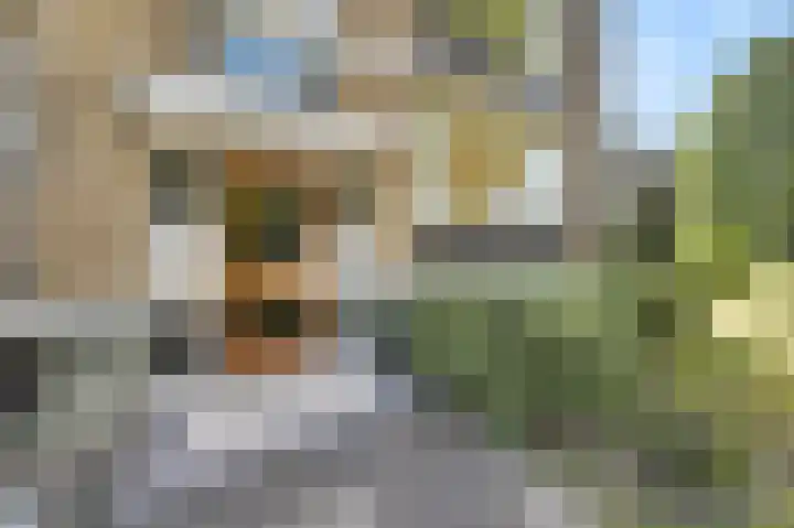 Professor Casimirstraat 2 Voorburg thumbnail 9