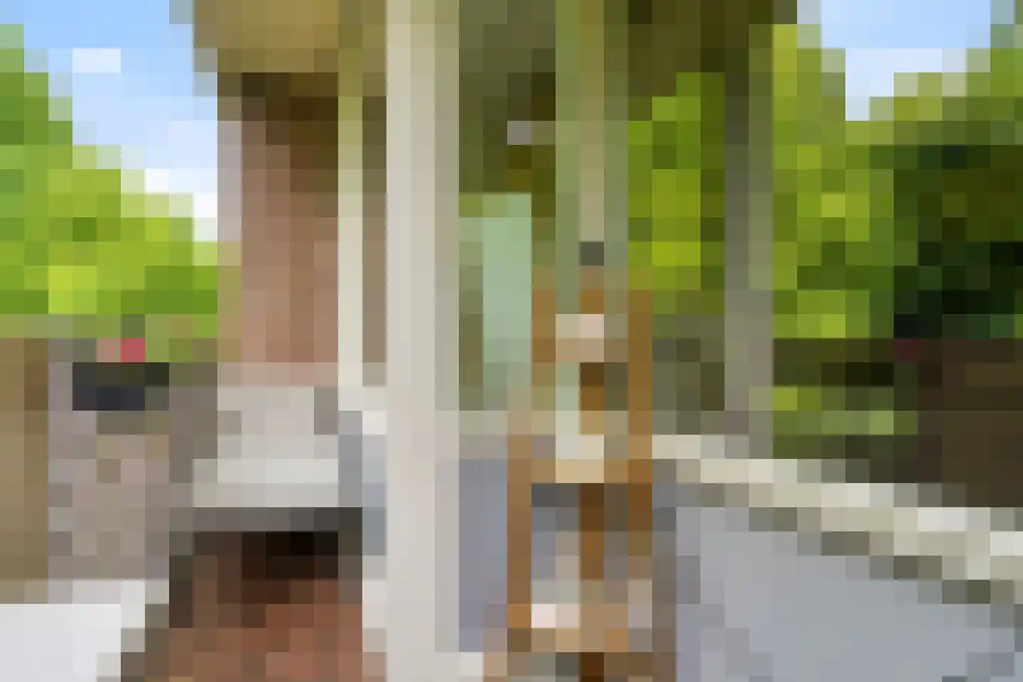 Professor Cobbenhagenlaan 106 Tilburg thumbnail 24