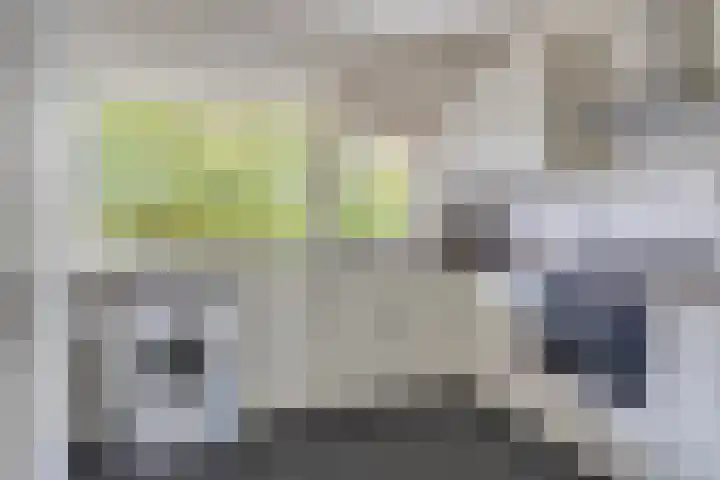 Professor Cobbenhagenlaan 112 Tilburg thumbnail 10