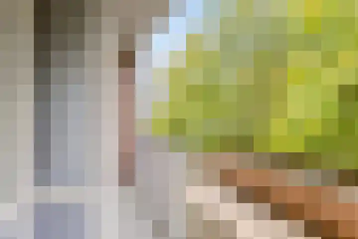 Professor Cobbenhagenlaan 112 Tilburg thumbnail 14