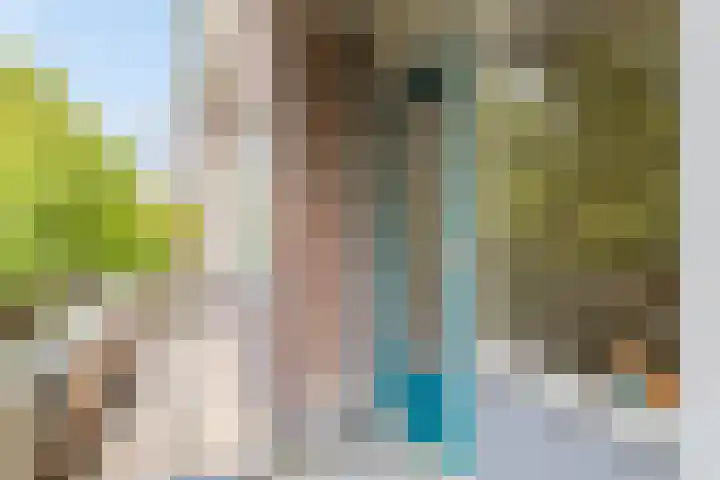 Professor Cobbenhagenlaan 112 Tilburg thumbnail 15