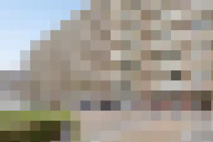 Professor Cobbenhagenlaan 112 Tilburg thumbnail 25