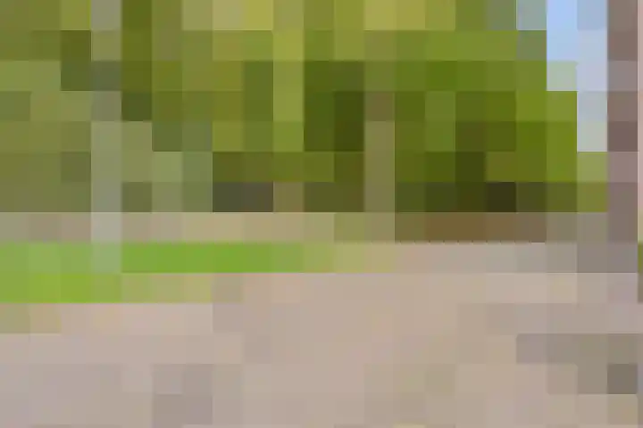 Professor Cobbenhagenlaan 112 Tilburg thumbnail 26
