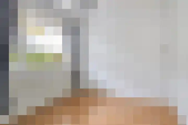 Professor Cobbenhagenlaan 112 Tilburg thumbnail 8