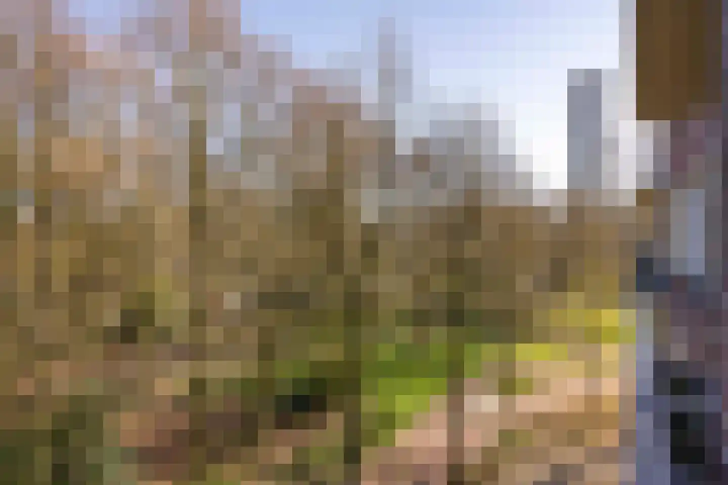 Professor Cobbenhagenlaan 120 Tilburg thumbnail 29
