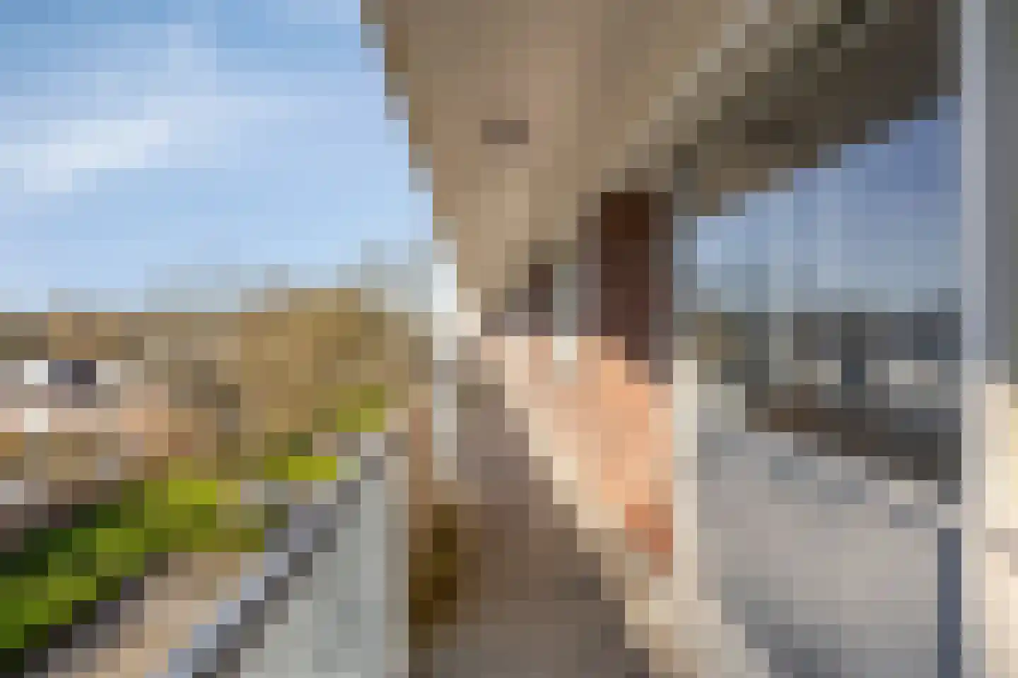 Professor Cobbenhagenlaan 120 Tilburg thumbnail 9
