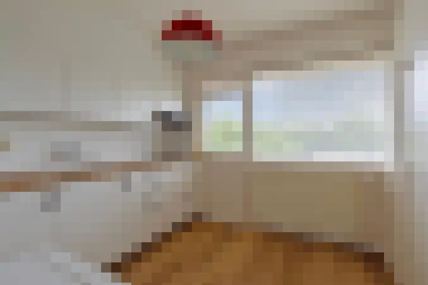 Professor Cobbenhagenlaan 124 Tilburg thumbnail 14