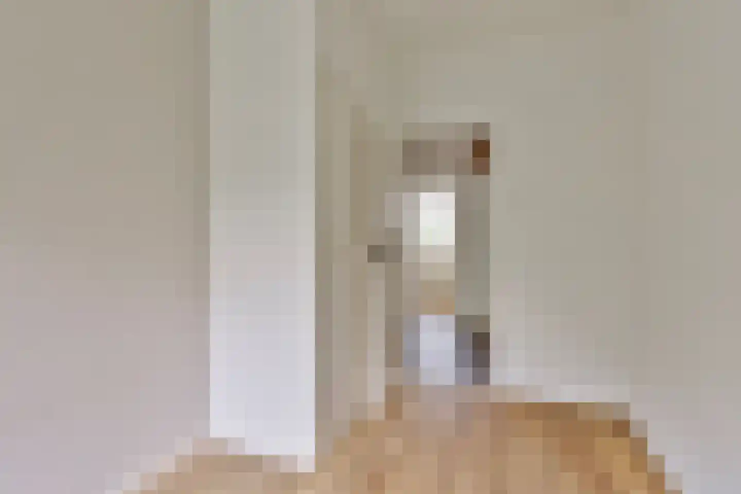 Professor Cobbenhagenlaan 124 Tilburg thumbnail 21