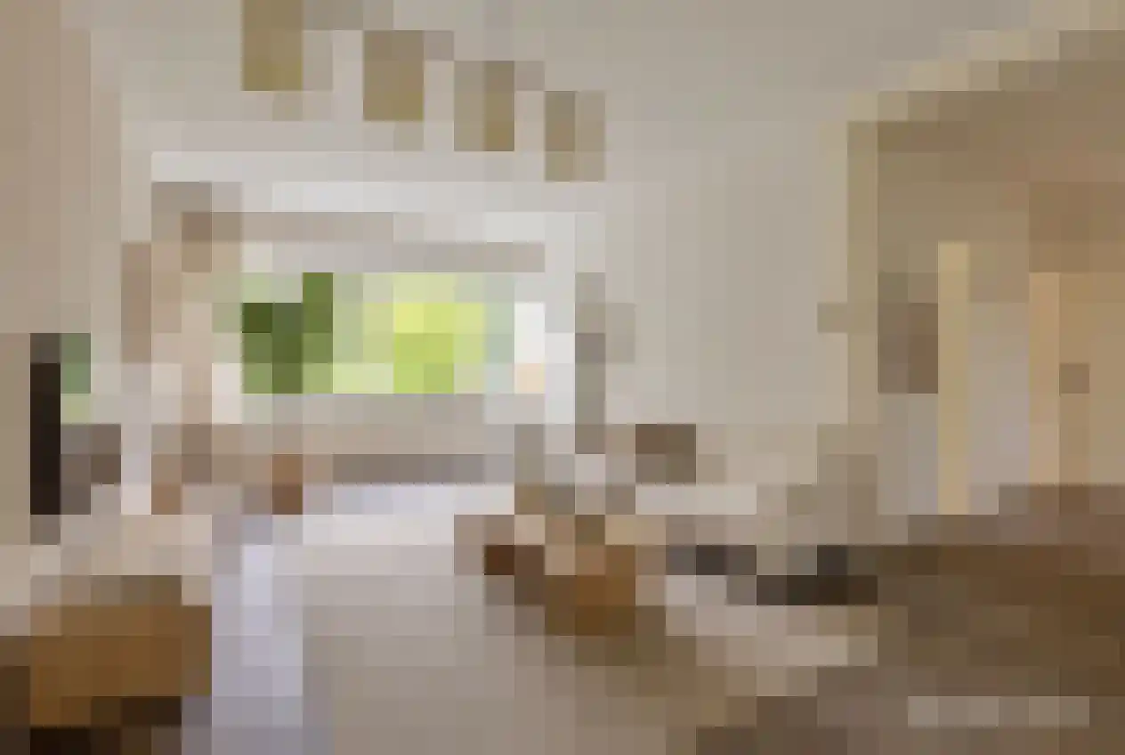 Professor Cobbenhagenlaan 124 Tilburg thumbnail 7