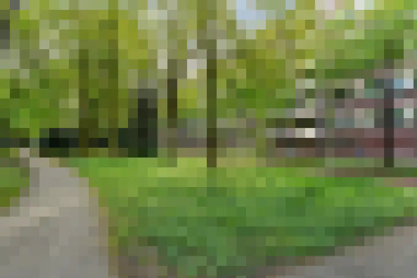 Professor Cobbenhagenlaan 130 Tilburg thumbnail 41