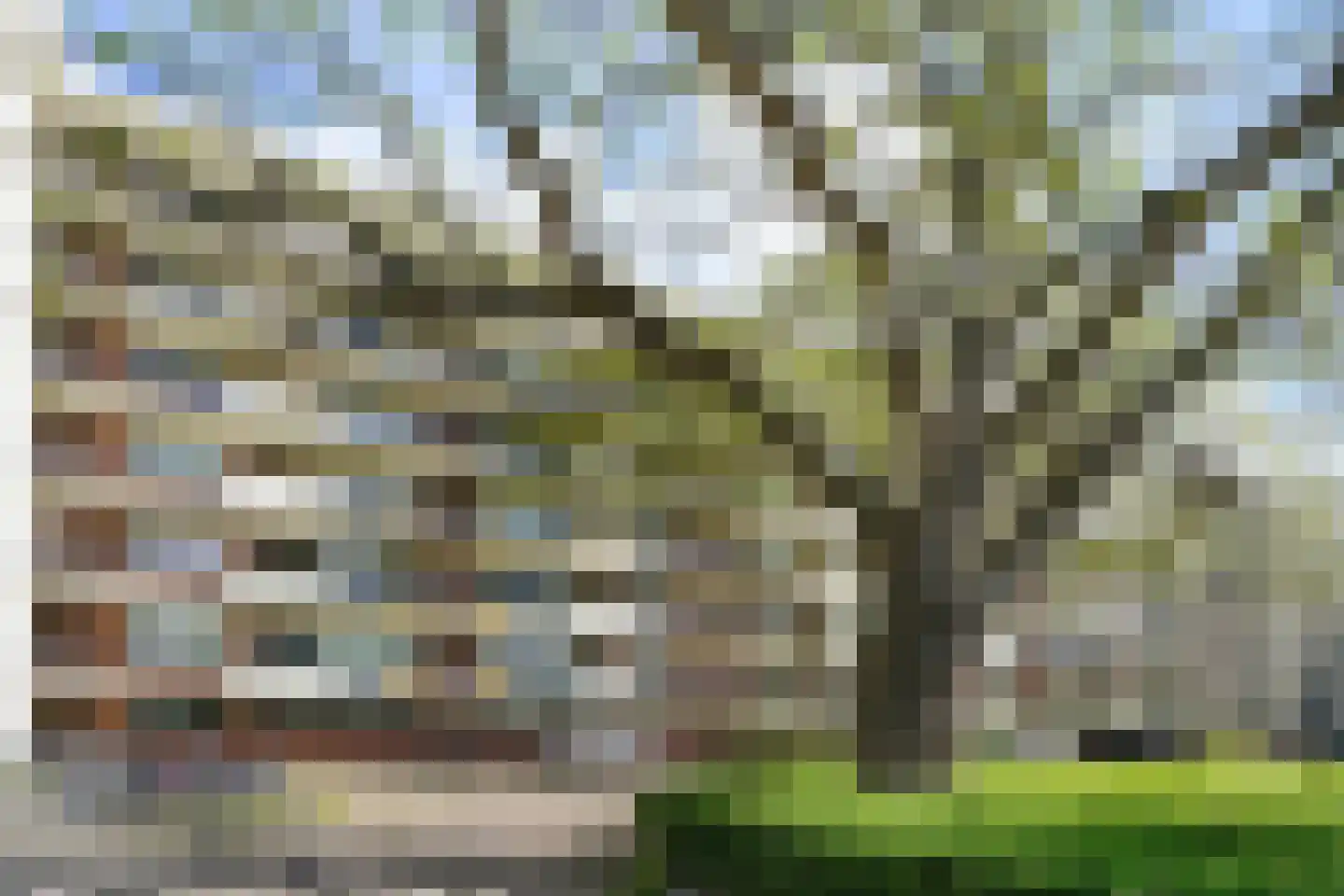 Professor Cobbenhagenlaan 130 Tilburg thumbnail 43