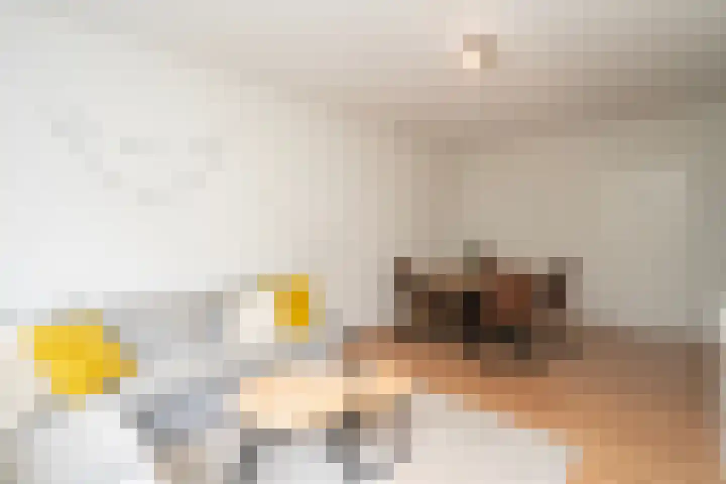 Professor Cobbenhagenlaan 142 Tilburg thumbnail 14