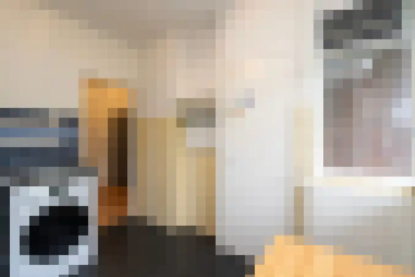 Professor Cobbenhagenlaan 142 Tilburg thumbnail 18