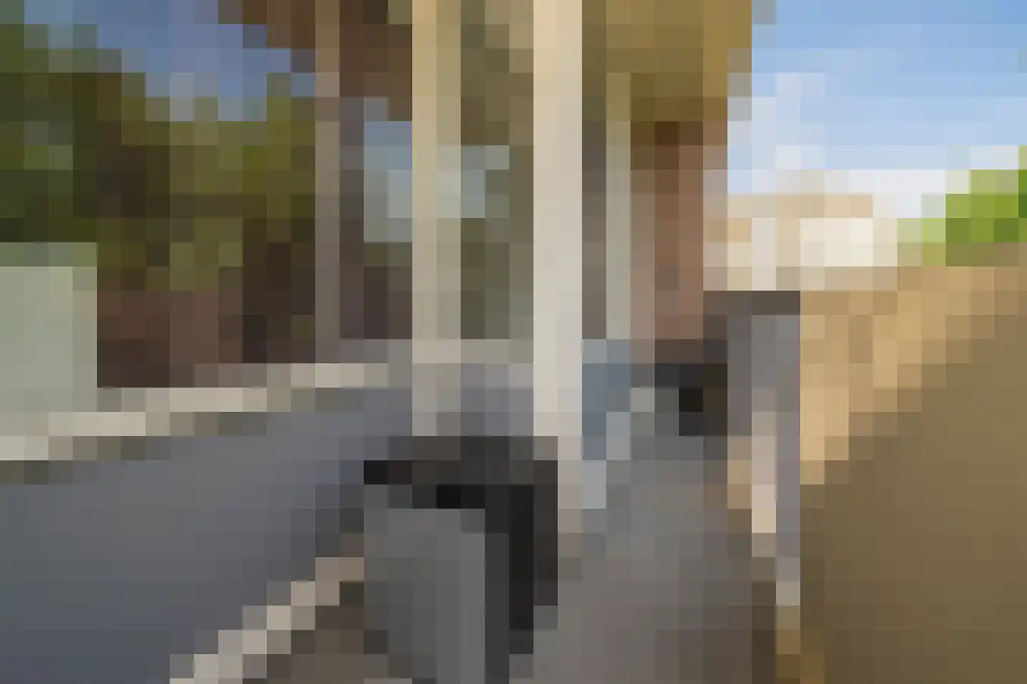 Professor Cobbenhagenlaan 142 Tilburg thumbnail 28