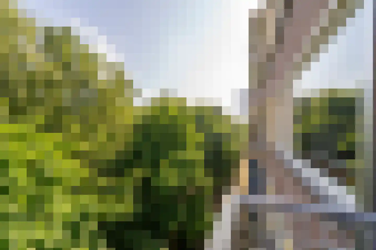 Professor Cobbenhagenlaan 142 Tilburg thumbnail 30