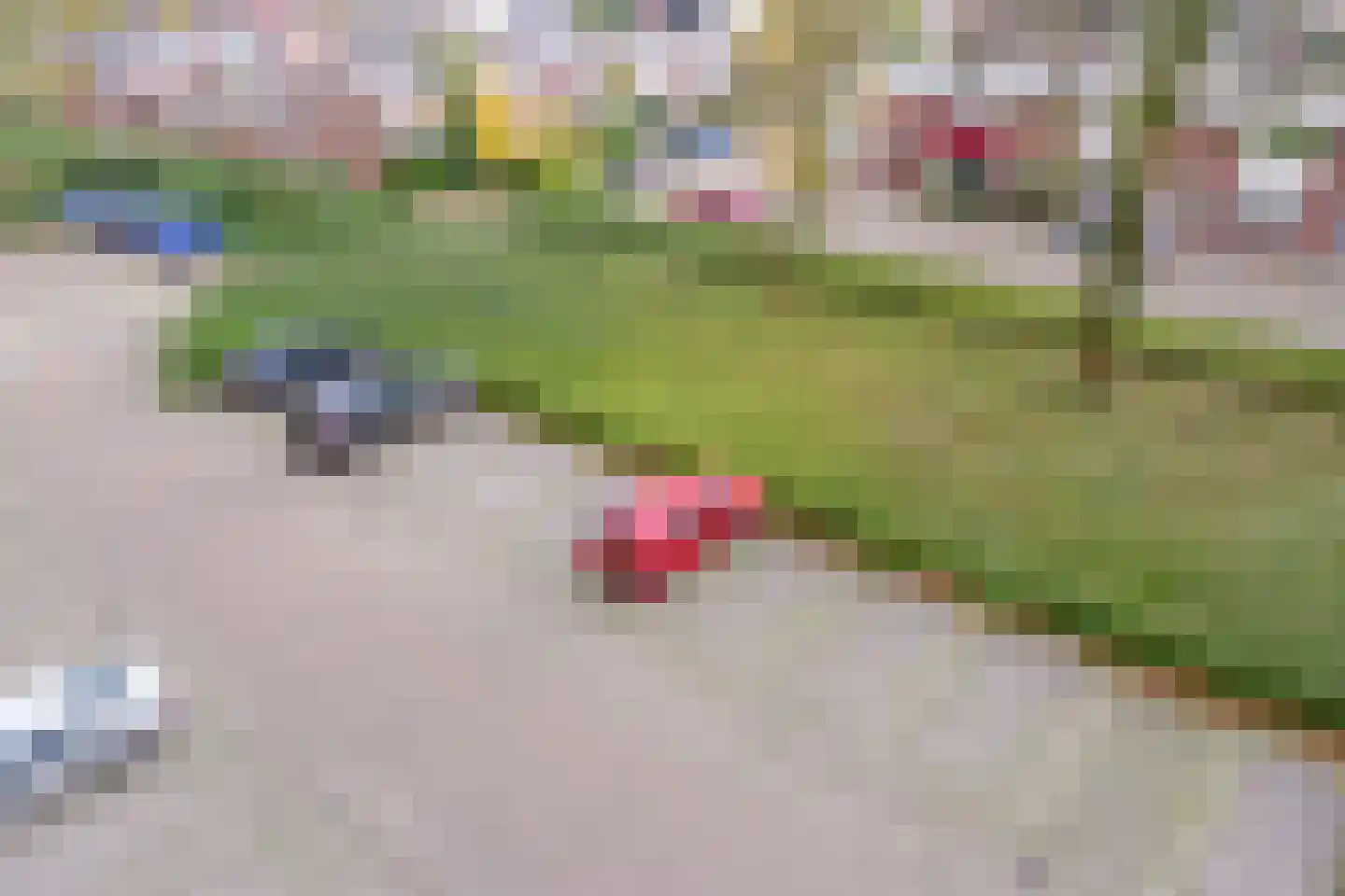 Professor Cobbenhagenlaan 142 Tilburg thumbnail 36