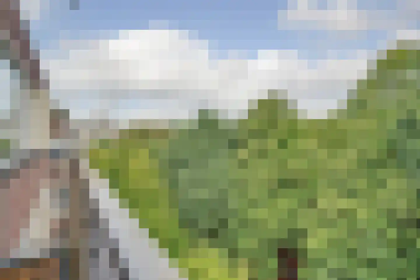Professor Cobbenhagenlaan 192 Tilburg thumbnail 6