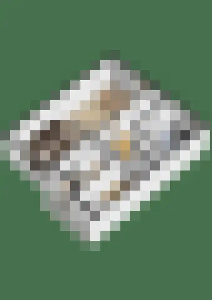 Professor Cobbenhagenlaan 232 Tilburg thumbnail 23