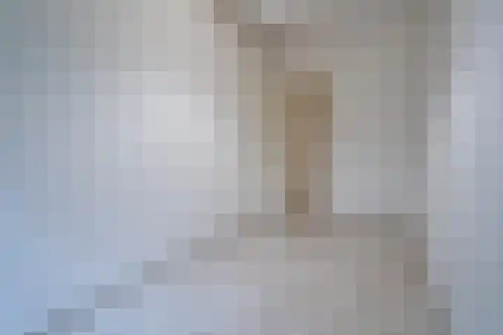 Professor Cobbenhagenlaan 232 Tilburg thumbnail 9