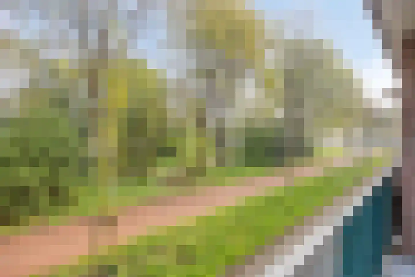 Professor Cobbenhagenlaan 238 Tilburg thumbnail 28