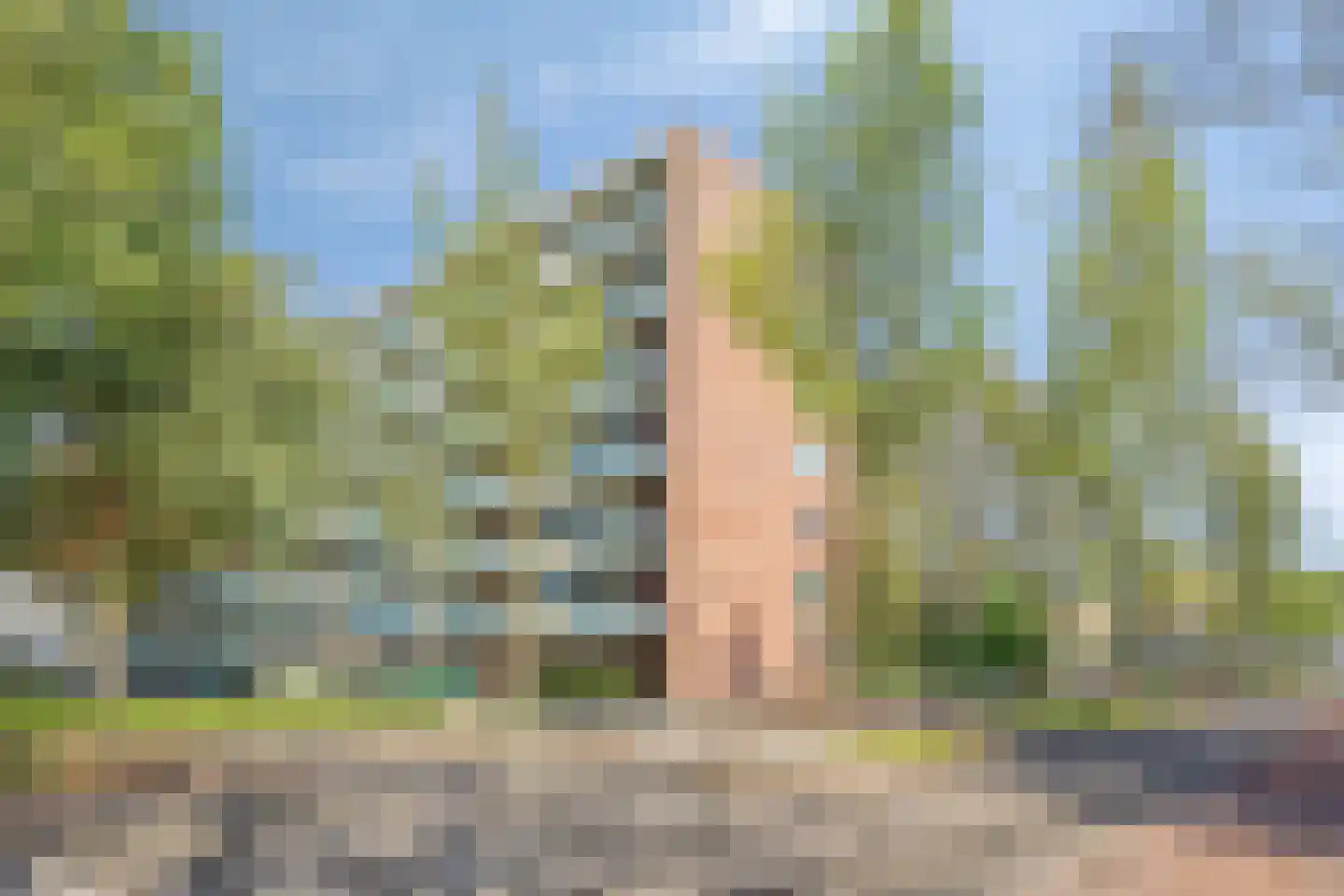 Professor Cobbenhagenlaan 238 Tilburg thumbnail 39