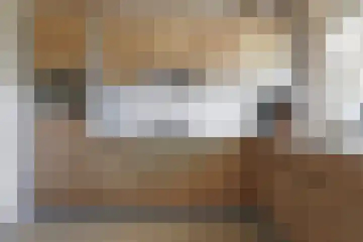 Professor Cobbenhagenlaan 250 Tilburg thumbnail 14