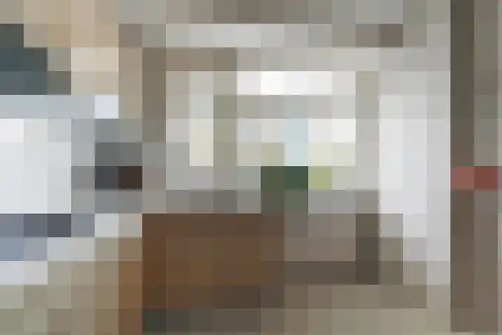 Professor Cobbenhagenlaan 250 Tilburg thumbnail 16